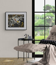 Load image into Gallery viewer, "Water Dragon" Koi Fish Art Print Framed 20x16