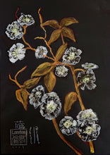 Load image into Gallery viewer, "Wednesday Blossoms III" Framed Print 11.7 x 16.5